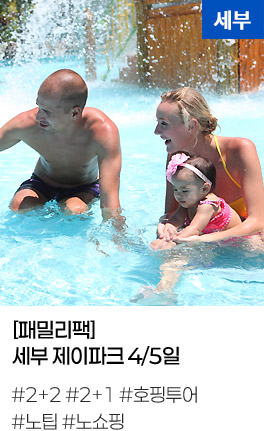 [패밀리팩] 세부 제이파크 4/5일