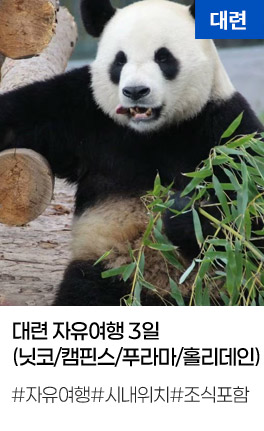 대련 자유여행 3일 (닛코/캠핀스/푸라마/홀리데인)