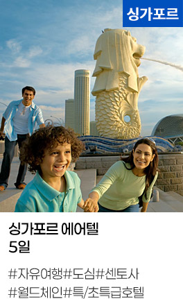 싱가포르 에어텔 5일