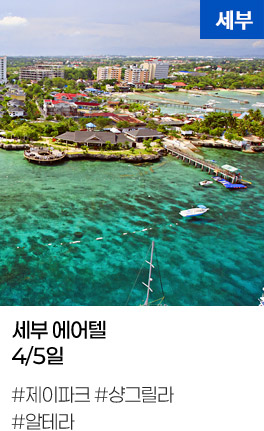 세부 에어텔4/5일