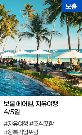 보홀 에어텔, 자유여행  4/5일 