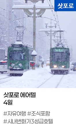 삿포로 에어텔 4일