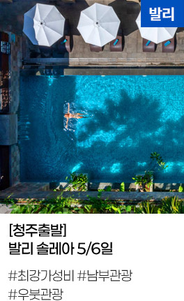 [청주출발] 발리 솔레아 5/6일
