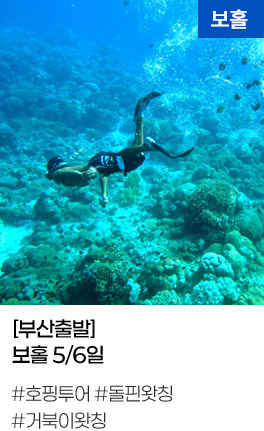 [부산출발] 보홀 5/6일