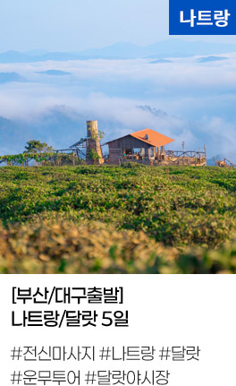 [부산/대구출발] 나트랑/달랏 5일 