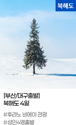 [부산/대구출발]북해도 4일