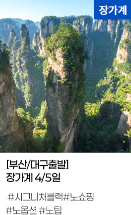 [부산/대구출발]장가계 4/5일