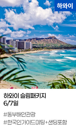 하와이 슬림패키지 6/7일