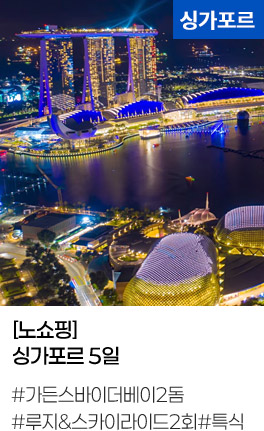 [노쇼핑]싱가포르 5일