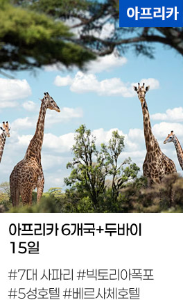 아프리카 6개국+두바이 15일 