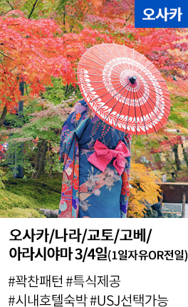 오사카/나라/교토/고베/아라시야마 3/4일 (1일자유OR전일)