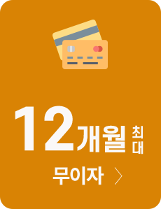 12개월 최대 무이자