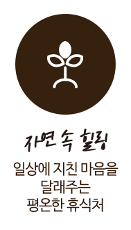 자연 속 힐링