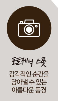 포토제닉 스폿