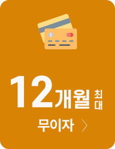 12개월 무이자