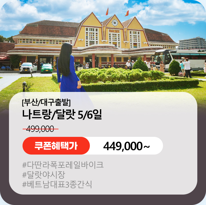 부산대구 나트랑 